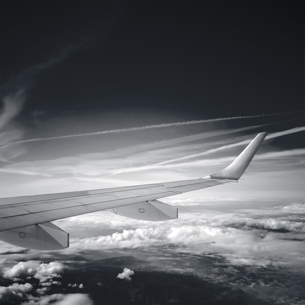 Wing of a flying plane